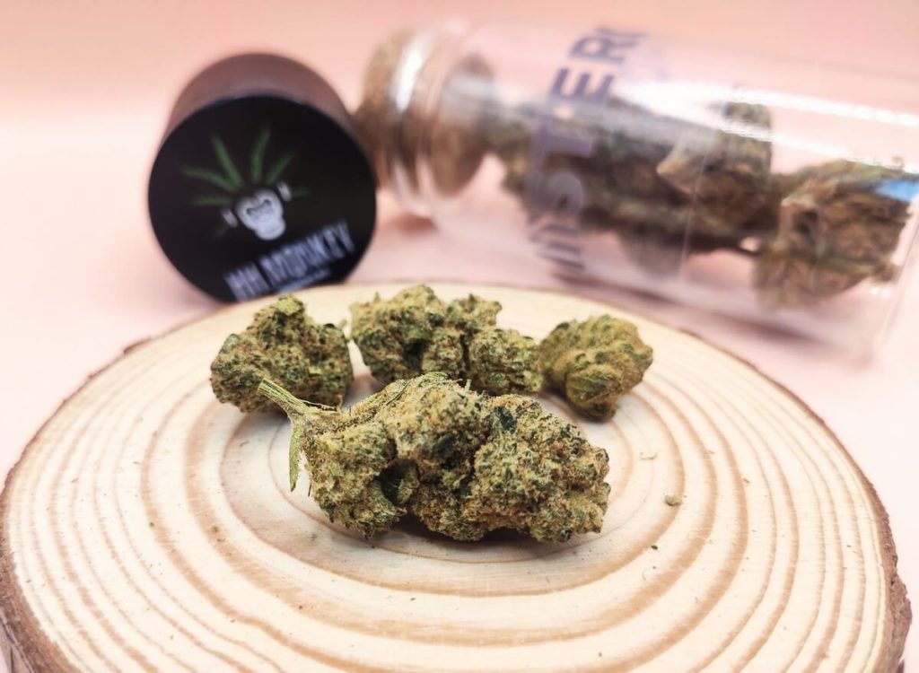 test-fleurs-hhmonkey