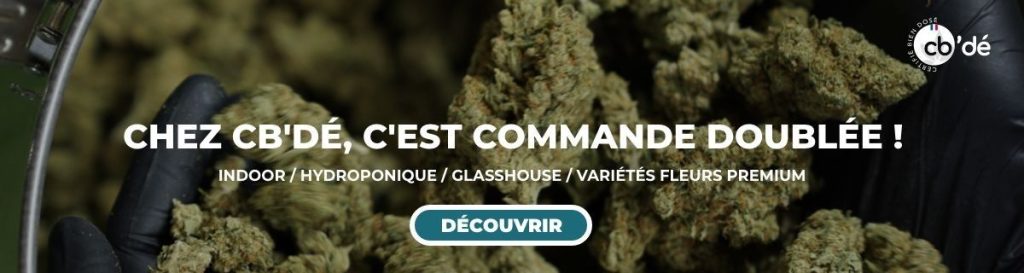 test-sunset-sherbet-cbde