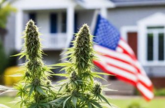 are-cbd-plants-legal-to-grow