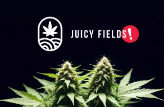 juicy fields escroquerie et arrestations industrie cannabis