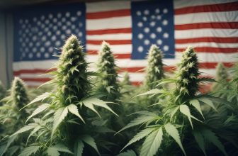 L'administration Biden officialise la reclassification du cannabis comme drogue moins dangereuse