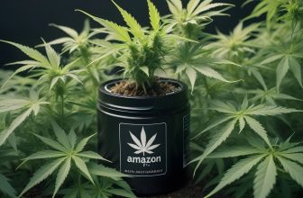 Le marché douteux du CBD sur Amazon : ce que les consommateurs doivent savoir