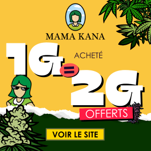 Partenaire Miistercbd
