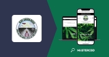 Mon avis sur 420 Green Road : une boutique de CBD qu’il faut essayer à tout prix