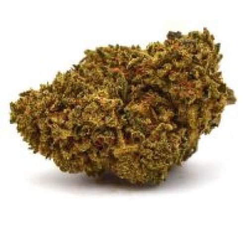 Avis sur la fleur Amnesia Haze