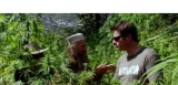 Arjan Roskam, la petite biographie du Roi proclamé du Cannabis