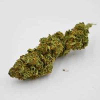 Banana-Kush-min Banana Kush