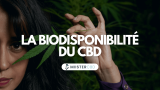 Comprendre la biodisponibilité du CBD pour mieux l’utiliser au quotidien