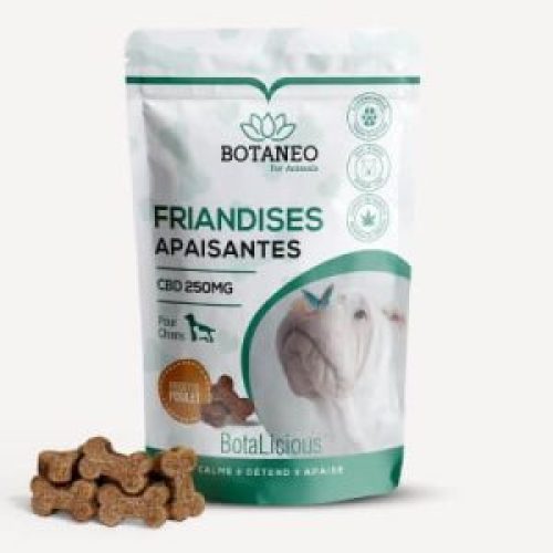 Friandises CBD apaisantes pour chien Botaneo