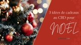 À mettre au pied du sapin : les meilleurs coffrets CBD de Noël et idées cadeaux en 2022