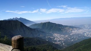 CBD Monterrey: Las 8 mejores tiendas para comprar CBD en Monterrey