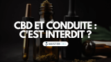 CBD et conduite : est-ce vraiment interdit ? Non, pas tout à fait !