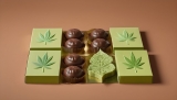Les meilleurs chocolats au CBD pour 2025