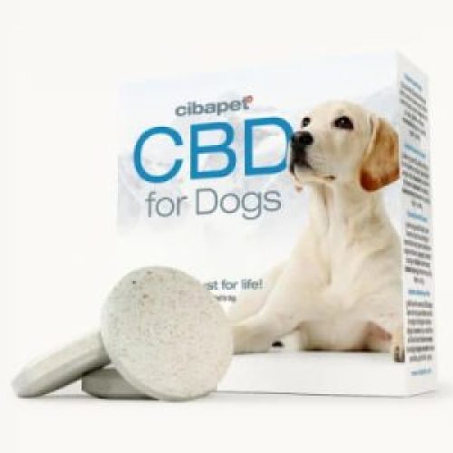 Les pastilles de CBD pour chiens (Cibapet)