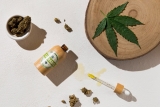 Comment est extrait le CBD du chanvre ?