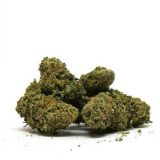 Cookie kush – interieur – mama kana Cookie kush - interieur - mama kana