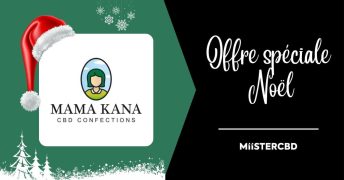 Mama Kana enfile son plus beau manteau de Noël : -35% de promo et des cadeaux exclusifs
