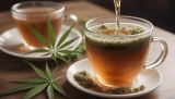 ¿Cuáles son las propiedades de las infusiones de cáñamo?