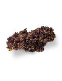 Deep Purple – Saveurs CBD Purple Haze CBD
