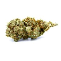 Gelato-CBD Gelato-CBD