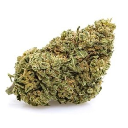 Meilleure fleur CBD puissante suisse : Gorilla Glue de JustBob