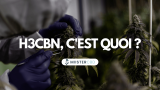 H3CBN : Tout savoir sur la version hydrogénée du Cannabinol
