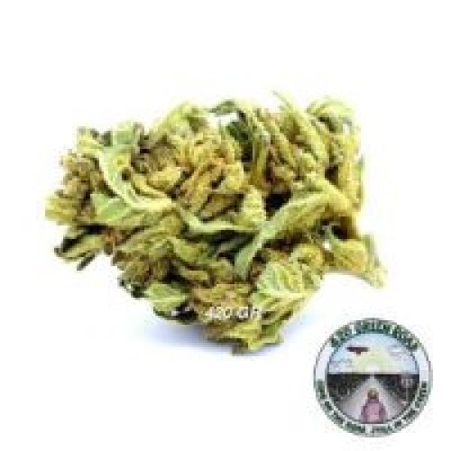Harlequin CBD