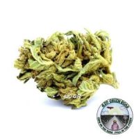 Harlequin-Outdoor Harlequin-Outdoor