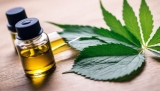 Qual è il miglior olio di CBD sul mercato italiano? Le recensioni dei consumatori nel 2025