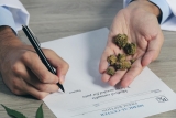 Initiative sur le cannabis de la Commission européenne : vers une régulation commune ?