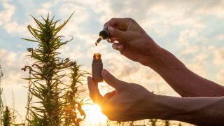 Ist es gefährlich, CBD-Öl einzunehmen?