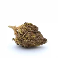 Jack Herer – Mama Kana Jack Herer CBD