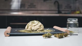Le chanvre trouve sa place dans les champs et les assiettes du Morbihan