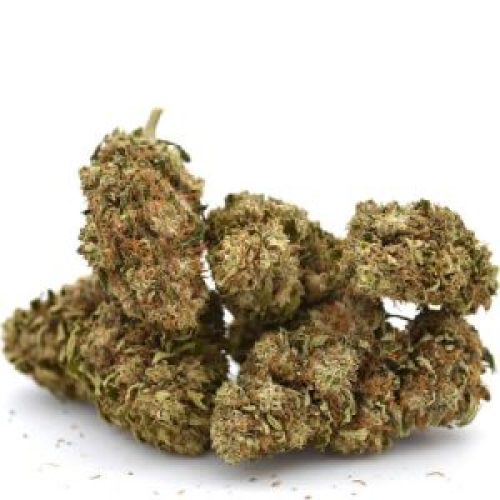Fleurs Watermelon CBG de Mama Kana