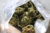 Mère de deux enfants dans le trafic de drogue : plongée au cœur d’une tragédie familiale