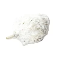 MoonRock Ice – Weedy MoonRock Ice - Weedy