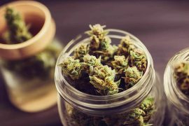 Les fleurs de CBD en promotions