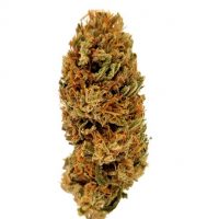 Orange Bud CBD Orange Bud CBD