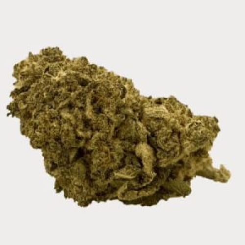 Fleur de CBD suisse aux meilleures saveurs : Orange Bud de Swiss Medical Cannabis