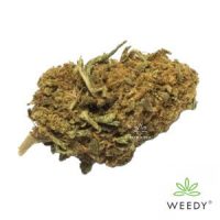 OrangeBud600