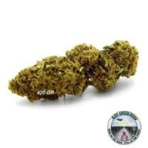 Orange Bud CBD