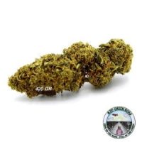 OrangeBudCBD OrangeBudCBD