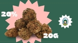 Pourquoi attendre le Black Friday quand Mama Kana vous offre 20 % sur tous les produits au CBD dès aujourd’hui ? 