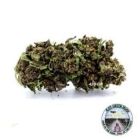 Purple-CBD