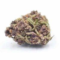 Purple-haze-cbd Purple-haze-cbd