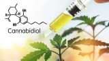 Quelles sont les différences entre le CBD full spectrum, broad spectrum et l’isolat ? 