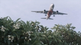Et si le chanvre révolutionnait l’aviation ? Ce défi fou pourrait voir le jour
