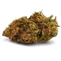 SuperLemonHazeCBD Super Lemon Haze CBDsol