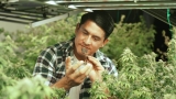 Thaïlande : 18 mois après sa dépénalisation, le cannabis récréatif va être interdit