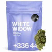 White window CBD - Tealer
